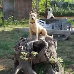 Oda ve Kahvaltı L'arcadia