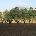 Oda ve Kahvaltı L'arcadia