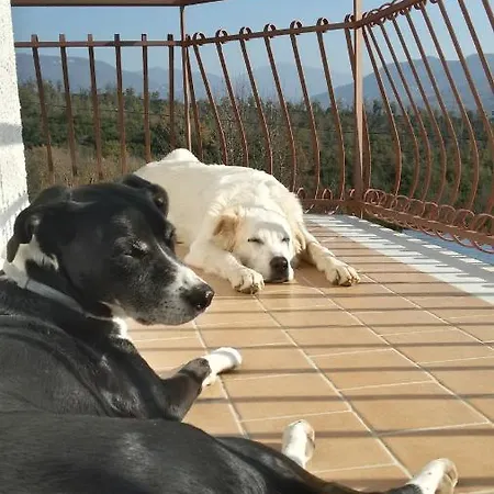 L'arcadia Couette-café Giffoni Sei Casali