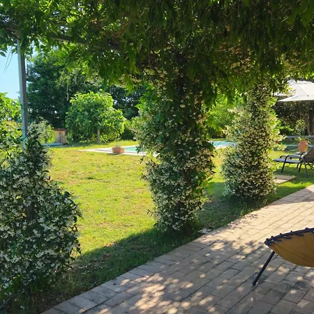 L'arcadia *